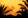 Sunset_palms