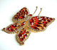 Crystal_butterfly