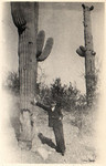 Vintage_cactus